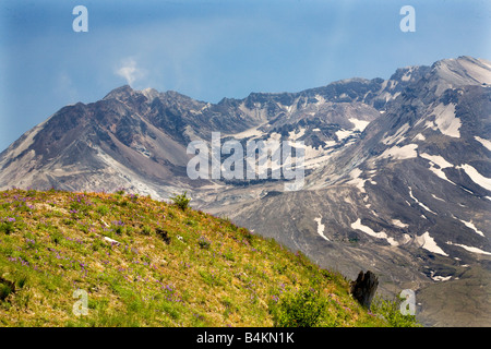 Caldera duomo di lava vicino Monte Saint Helens Il Parco Nazionale del Vulcano Washington Foto Stock