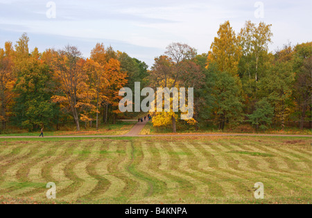 Autunno dorato in Alessandria, parco di Peterhof, San Pietroburgo, Russia Foto Stock