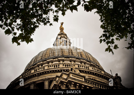 La cupola della Cattedrale di San Paolo di Londra, vista contro un cielo grigio, incornicia un albero. REGNO UNITO Foto Stock