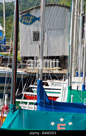 Barche a vela nel porto di inferiore di Marquette Michigan Foto Stock