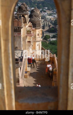 India Rajasthan, forte di Amber a Jaipur che mostra gli elefanti sul loro modo al percorso turistico Foto Stock