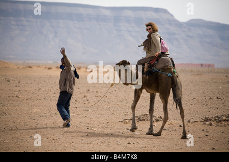 I cammelli con equitazione turistica sulle dune nel deserto vicino a Zagora Marocco. L'Africa. 80011 orizzontale Marocco Foto Stock