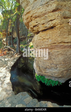 Canale di irrigazione che fluisce dalla primavera a Montezuma ben indiani Sinagua Montezuma Castle National Monument in Arizona Foto Stock