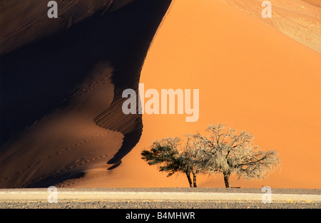 La Namibia Sossusvlei duna di sabbia numero 45 Foto Stock