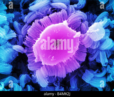 Vista guardando in giù nel nanotubo di carbonio che erogano farmaci contro il cancro a destra per il sito della malattia durante il trattamento chemioterapico Foto Stock