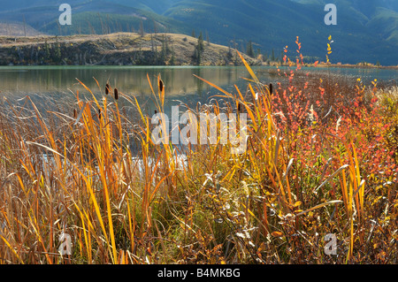 Il lago di SCENIC 0804 Foto Stock