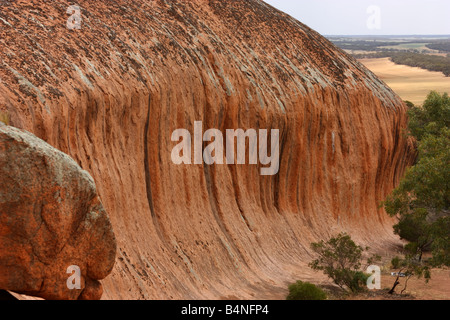 Pildappa rock a minnipa sulla penisola di Eyre Foto Stock