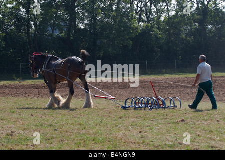 Cavallo pesante lavoro della terra nella campagna di Norfolk Foto Stock