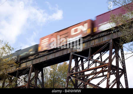 Un treno merci passa sopra un ponte stile di trave a traliccio Ninevah, NY. Foto Stock