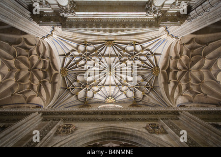 Cattedrale di Salamanca- interni 1 Foto Stock