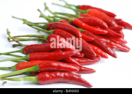 Peperone rosso isolato su sfondo bianco Foto Stock