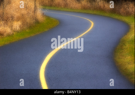 Piccolo pavimentato e curva strada utilizzata come una pista ciclabile in un parco Foto Stock