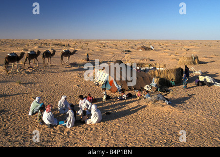 Algeria Touggourt famiglia beduino nella parte anteriore della loro tenda e cammelli deserto del Sahara Foto Stock