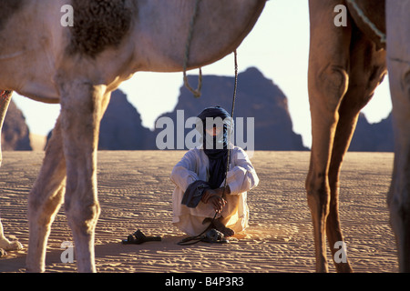 Algeria, vicino Djanet, uomo di tribù Tuareg e cammelli. Deserto del Sahara. Foto Stock