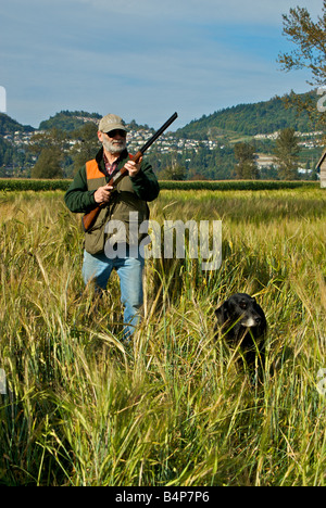 Fagiano cacciatore con fucile sulla vecchia coppia labrador retirever pronto per il gioco bird per saltare Foto Stock