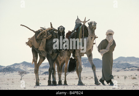 Algeria vicino Djanet uomo della tribù Tuareg e cammelli deserto del Sahara Foto Stock