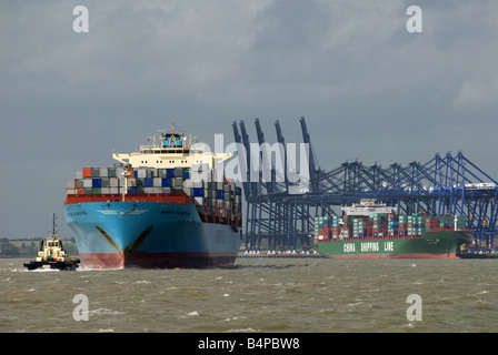 Maersk Line di portacontainer, 'Kwangyang' porto di Felixstowe, Suffolk, Regno Unito. Foto Stock