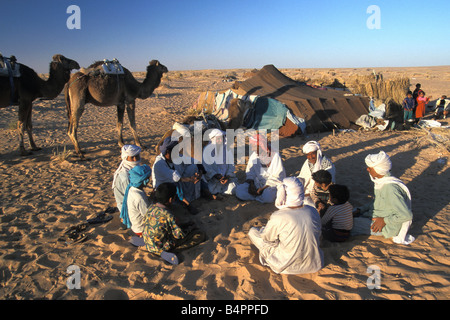 Algeria Touggourt famiglia beduino nella parte anteriore della loro tenda e cammelli deserto del Sahara Foto Stock