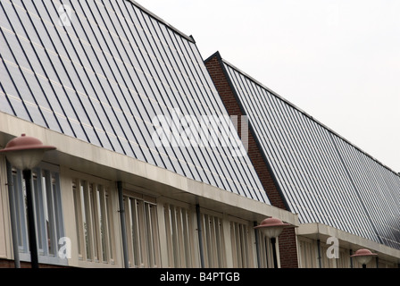 Guscio di pannelli solari montati su case sul più grande del mondo a energia solare alloggiamento station wagon, Nieuwland, Amersfoort, Paesi Bassi. Foto Stock