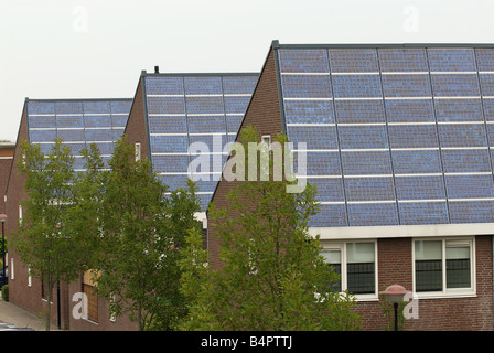 Guscio di pannelli solari montati su case sul più grande del mondo a energia solare alloggiamento station wagon, Nieuwland, Amersfoort, Paesi Bassi. Foto Stock