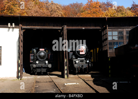 Locomotive a vapore Foto Stock