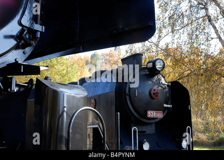 Locomotive a vapore Foto Stock