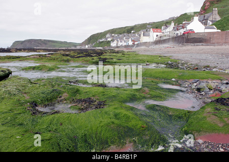 Il litorale di Gardenstown nel nord est della Scozia Foto Stock