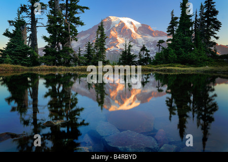 Mountain tarn riflettendo Mount Rainier all'alba, il parco nazionale del monte Rainier, Washington, Stati Uniti d'America Foto Stock