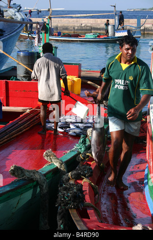 Persone in maschio in isole maldiviane: barca da pesca e uomo con un pesce in mani Foto Stock