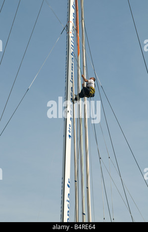 Un marinaio francese la scalata al montante principale la preparazione per la Artemis Transat 2008. Foto Stock