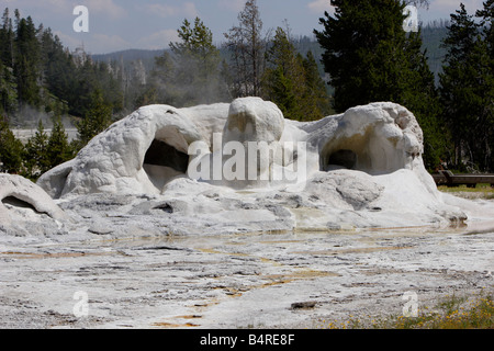 Grotto Geyser al Upper Geyser Basin nei pressi della vecchia fedele nel parco di Yellowstone in luglio Foto Stock