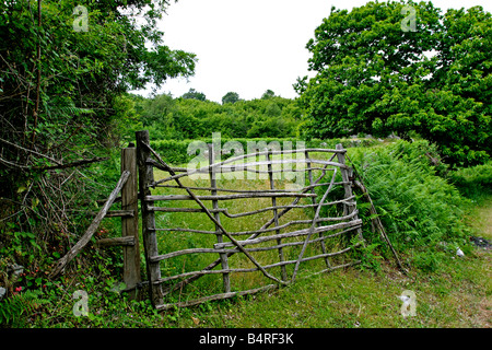 Azienda agricola tradizionale gate in Montenegro Foto Stock