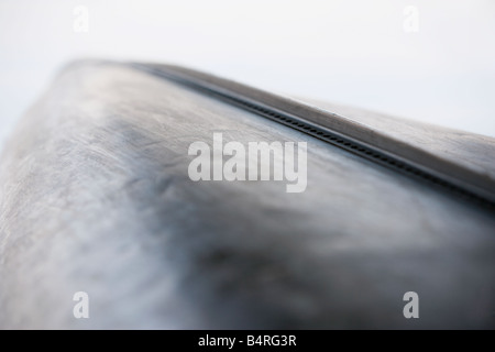 Il fondo di un alluminio canoa. Foto Stock