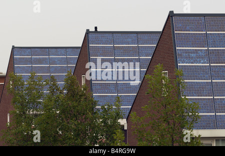 Guscio di pannelli solari montati su case sul più grande del mondo a energia solare alloggiamento station wagon, Nieuwland, Amersfoort, Paesi Bassi. Foto Stock