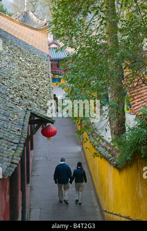 Cina, Provincia di Chongqing, Fiume Yangtze, Fengdu, Fengdu città fantasma, Mingshan, visitatori del Tempio Foto Stock