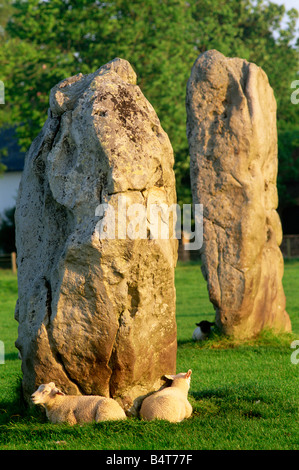 Inghilterra, Wiltshire, Avebury, Avebury Stone Circle Foto Stock