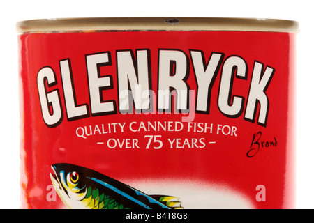 Lo stagno di le sarde in salsa di pomodoro Foto Stock