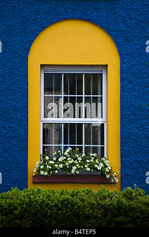 Fiori di vetro West Cork in Irlanda Foto Stock