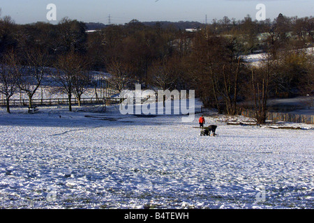 Meteo neve Dec 2000 SNOW SCENE IN WEALD PARK ESSEX Foto Stock