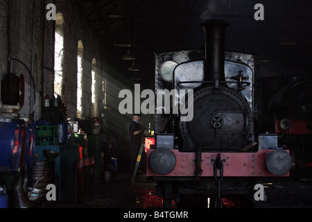 I visitatori di Tanfield Railway sono state trattate per la sua prima locomotiva a vapore di gala in tredici anni Matthew Murray lavora su un treno in un capannone Foto Stock