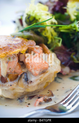 Pasta sfoglia ripiene di salmone in salsa di panna con insalata di contorno di verdure miste, a Stella Mare, Santa Barbara, California. Foto Stock