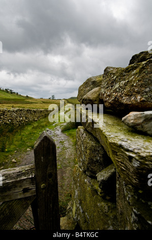 Percorso di campagna attraverso e aprire il cancello di legno con un secco muro di pietra che conduce all'orizzonte. Lake District, Cumbria, Regno Unito Foto Stock