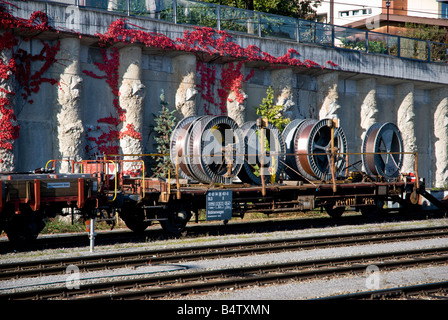 Una ferrovia dello scanner a superficie piana con un carico di cavo in rame si siede su un binario, Svizzera Foto Stock
