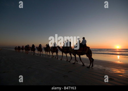 I turisti a cavallo di cammelli al tramonto lungo la spiaggia di Cable Beach in Broome Australia Occidentale Foto Stock