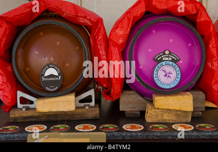 La birra barrells nella birra tenda a Abergavenny Food Festival Foto Stock