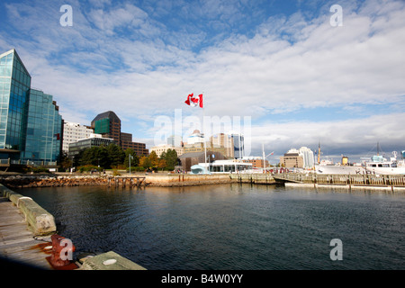 Porto di Halifax, Nova Scotia Foto Stock