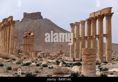 Palmyra al tramonto, guardando ad ovest a Qala a Ibn Maan, Siria. Foto Stock