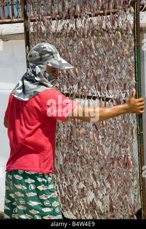 Pesce di essiccazione, piccoli pesci secchi, Hua Hin, Thailandia Foto Stock