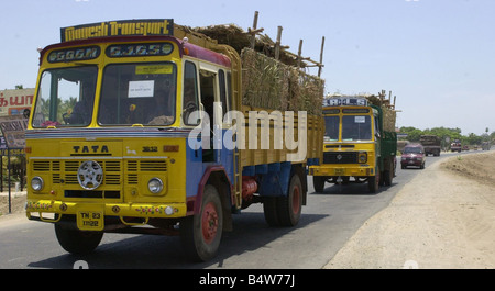 Nato libero funzione di fondazione 2002 Amanda Holden attrice e Tiger Patrono di campagna aiuta a tigri in movimento dalla nato libero nel Santuario Headcorn Kent alla nuova sede al Bannerghatta National Park in India meridionale le tigri en route da Madras a Bangalore Foto Stock