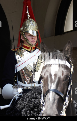 Soldato di cavalleria della famiglia dal Blues e Royals reggimento montato in Whitehall City of Westminster SW1 London Inghilterra England Foto Stock